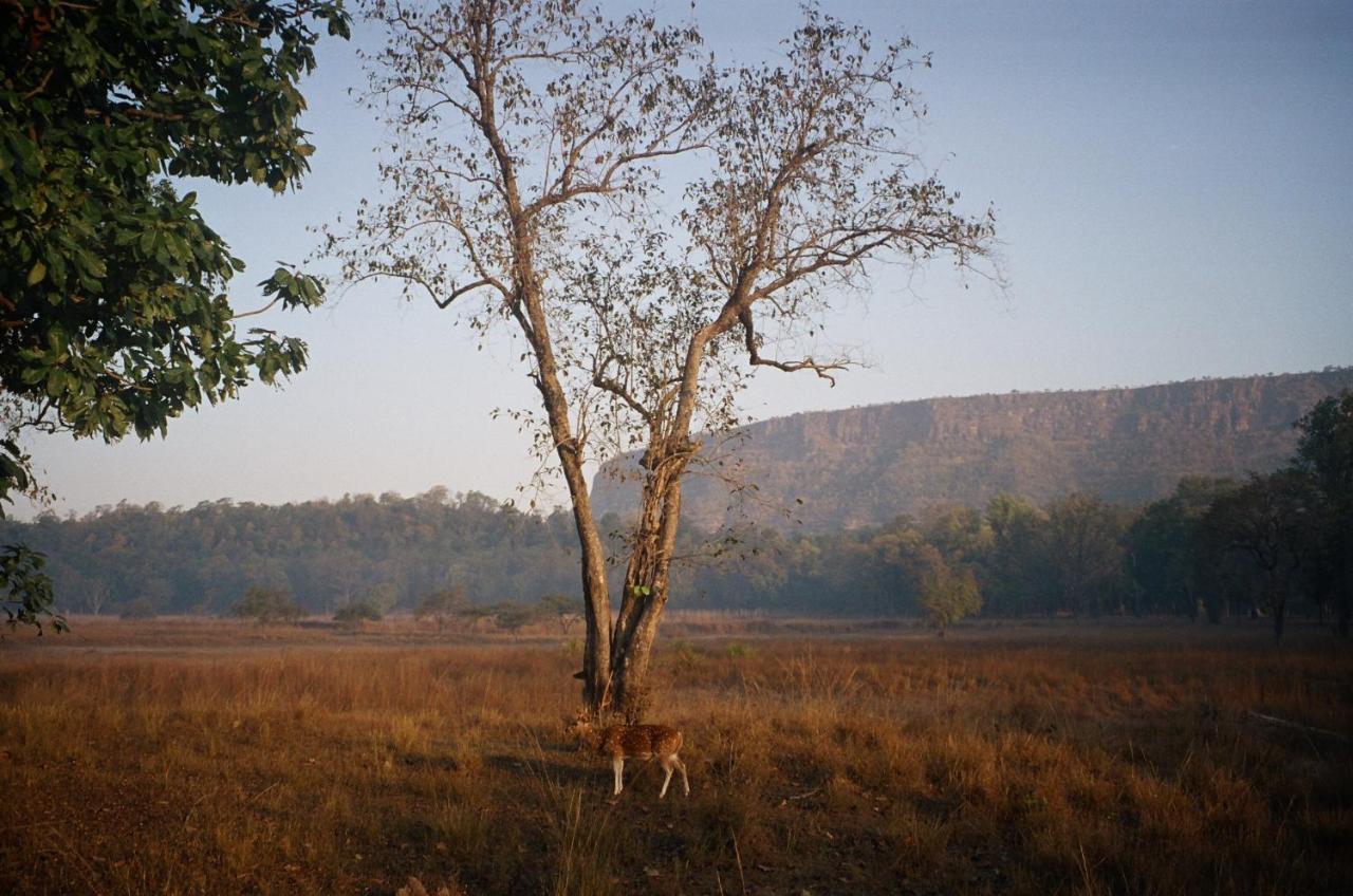 Bandhavgarh Jungle Lodge Tāla Esterno foto