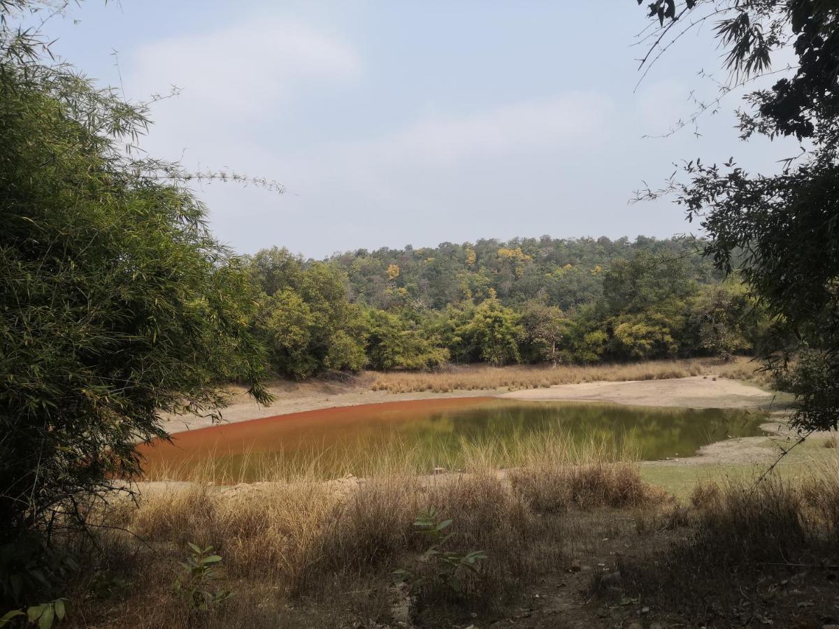 Bandhavgarh Jungle Lodge Tāla Esterno foto