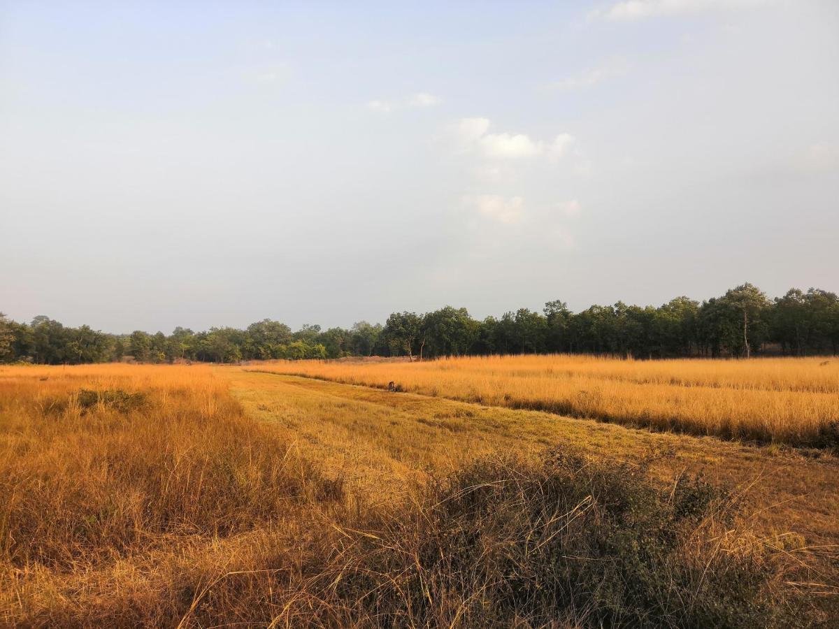 Bandhavgarh Jungle Lodge Tāla Esterno foto